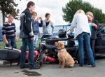Hundekrankenversicherung für Verkehrsunfälle