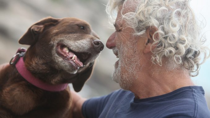 Hundekrankenversicherung ältere Hunde