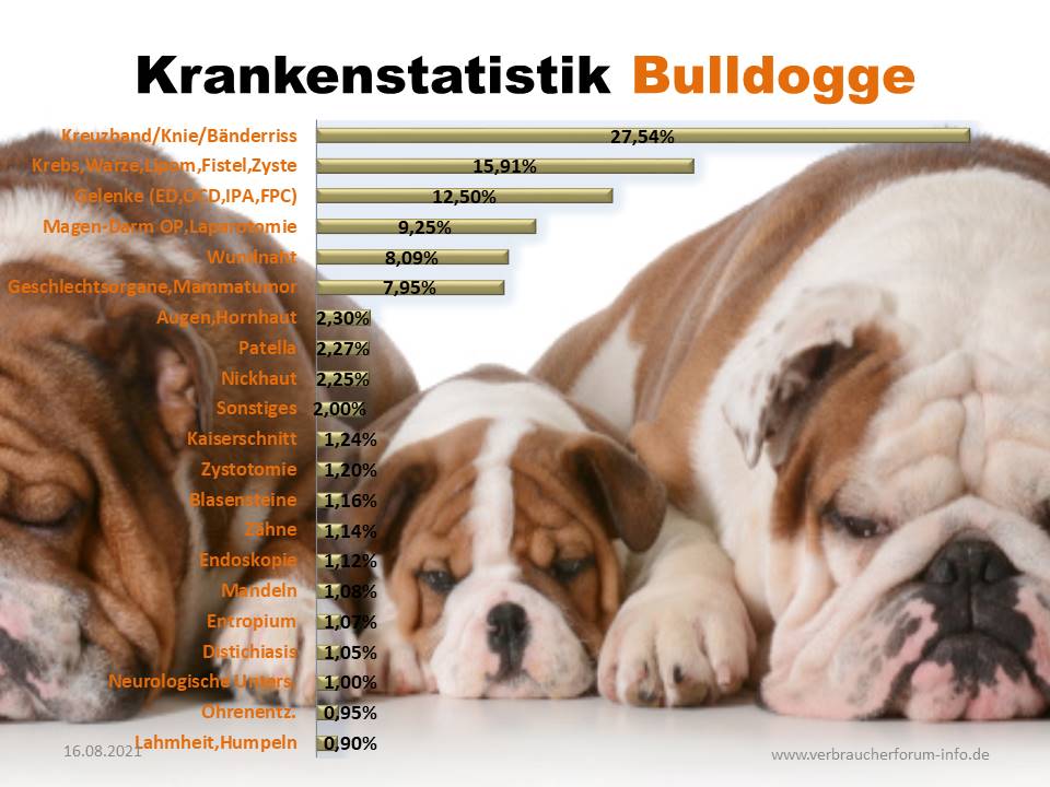 Bulldoggen Statistik der häufigsten Krankheiten und Operationen