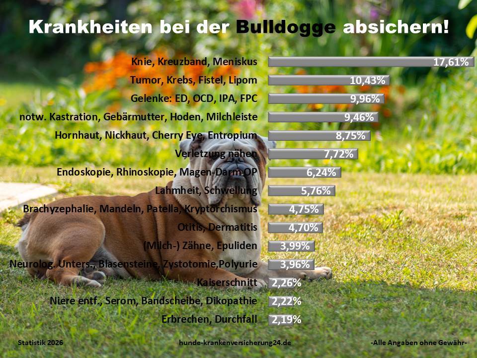 Hundekrankenversicherung für Englische Bulldogge Krankheiten und Tierarztkosten