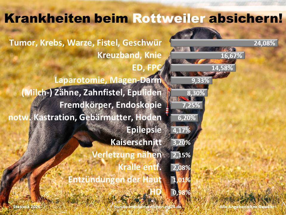 Hundekrankenversicherung für Rottweiler Krankheiten und Tierarztkosten