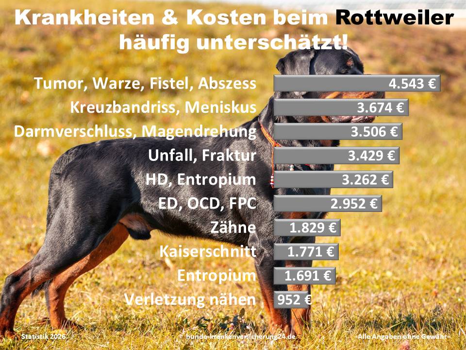 Hundekrankenversicherung für Rottweiler Krankheiten und Tierarztkosten