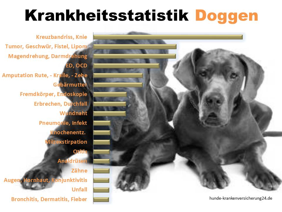 Statistik über die häufigsten Dogge Krankheiten