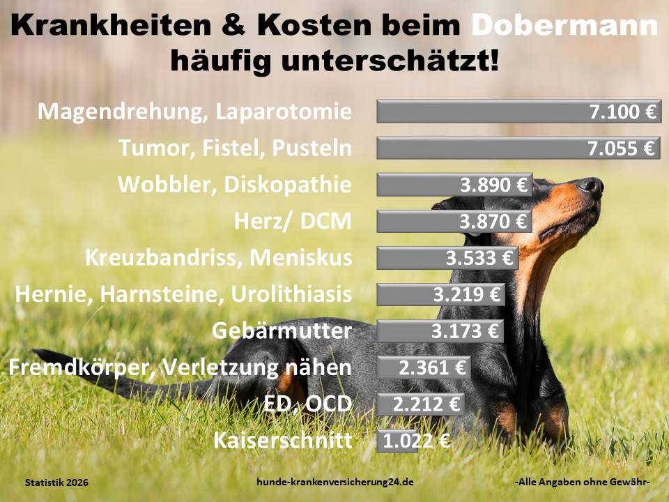 Hundekrankenversicherung für Dobermann Krankheiten und Tierarztkosten