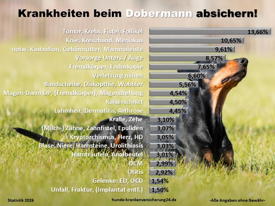 Hundekrankenversicherung für Dobermann Krankheiten und Tierarztkosten