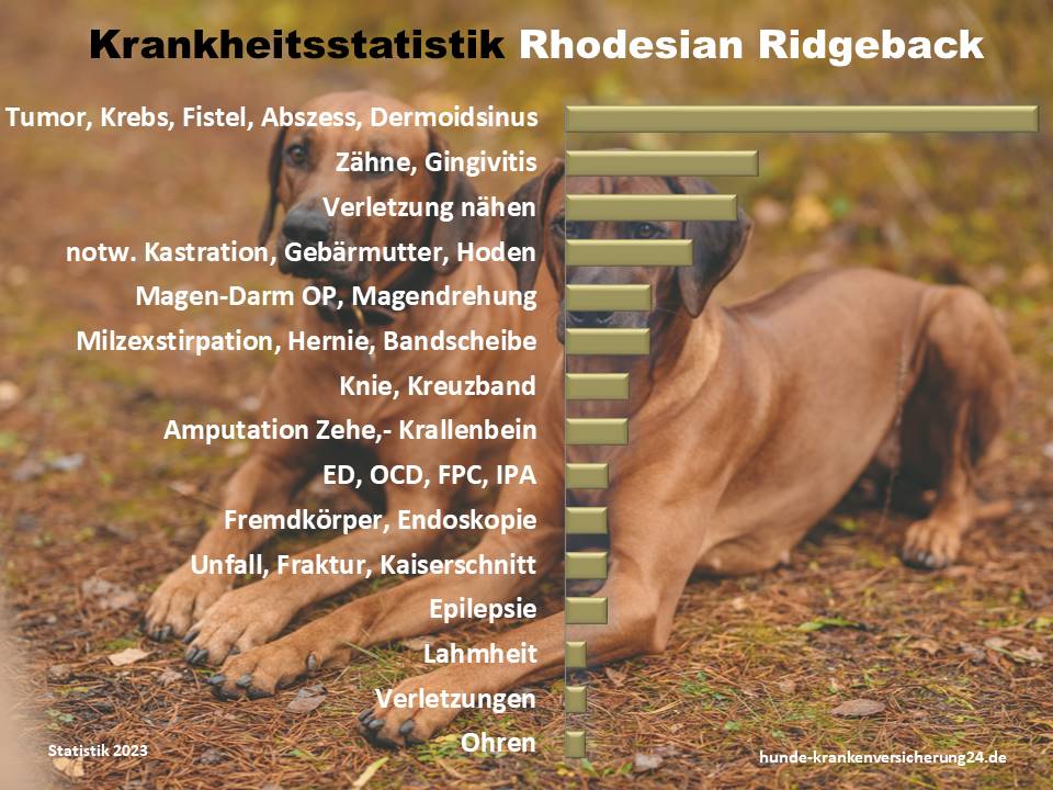 Die häufigsten Krankheiten beim Rhodesian Ridgeback