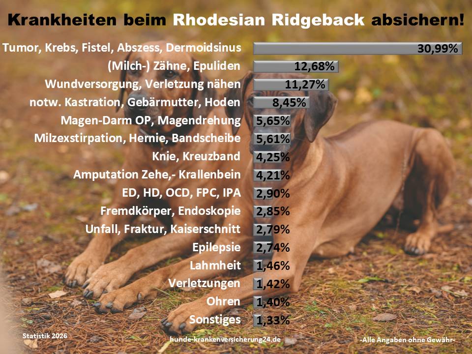 Hundekrankenversicherung für Rhodesian Ridgeback Krankheiten und Tierarztkosten