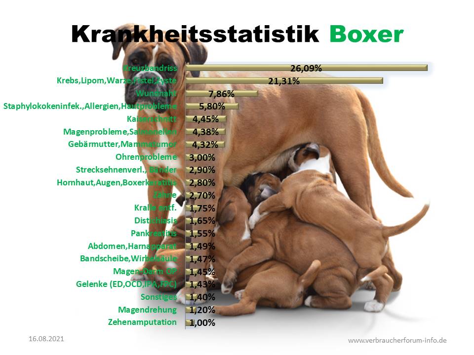 Statistik über die häufigsten Krankheiten beim Boxer