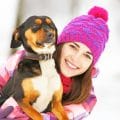 Hundekrankenversicherung für Entlebucher Sennenhund
