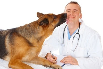 Mit der Hundekrankenversicherung für Schäferhund muss man keine Angst vor dem Tierarztbesuch haben!