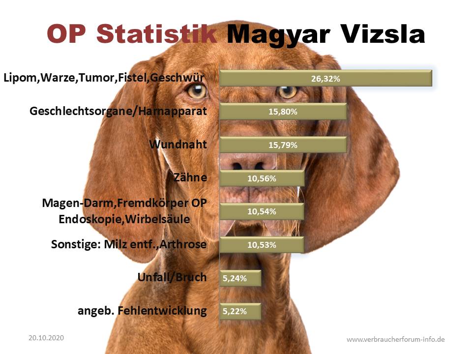 Statistik über häufige Erkrankungen beim Magyar Viszla Hundekrankenversicherung 24