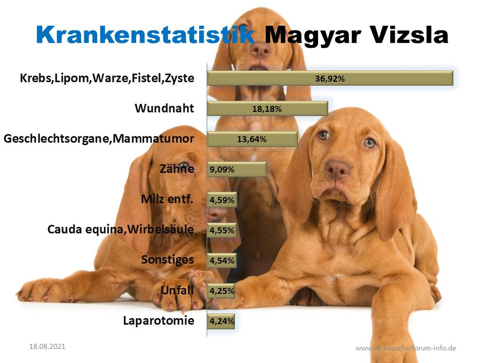 Statistik über häufige Erkrankungen beim Magyar Viszla