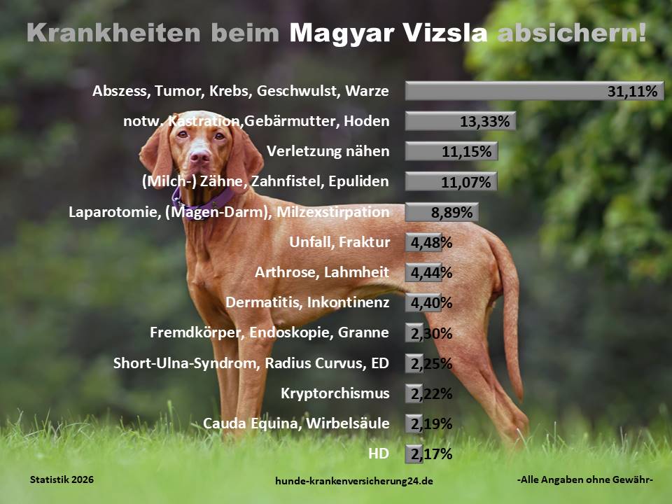 Hundekrankenversicherung für Magyar Vizsla Krankheiten und Tierarztkosten