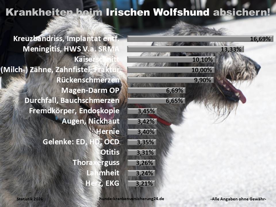 Hundekrankenversicherung für Irischer Wolfshund Krankheiten und Tierarztkosten