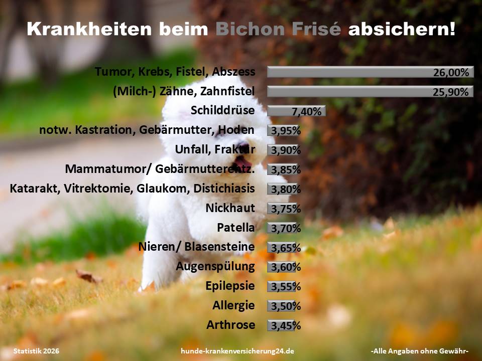 Hundekrankenversicherung für Bichon Frisé Krankheiten und Tierarztkosten