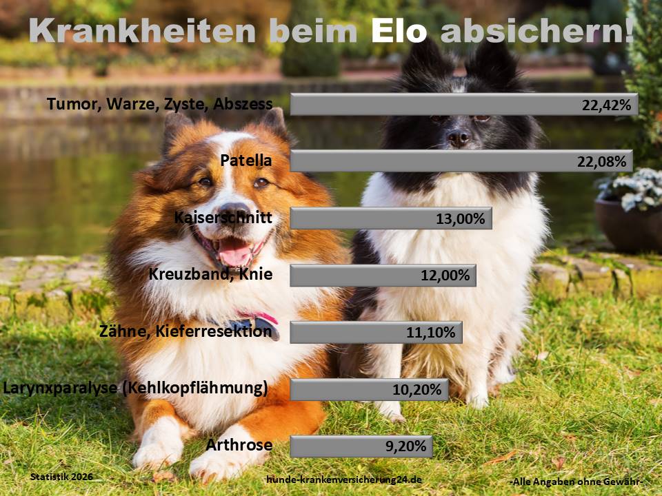 Hundekrankenversicherung für ELO Krankheiten und Tierarztkosten