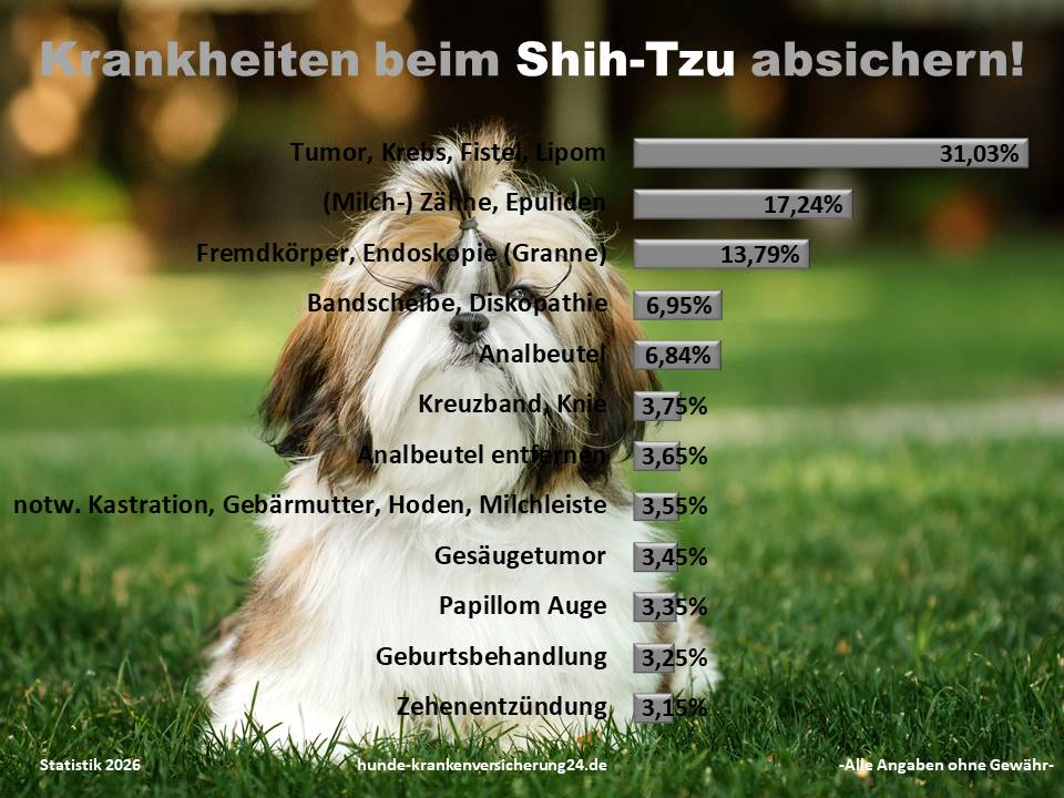Hundekrankenversicherung für Shih Tzu Krankheiten und Tierarztkosten