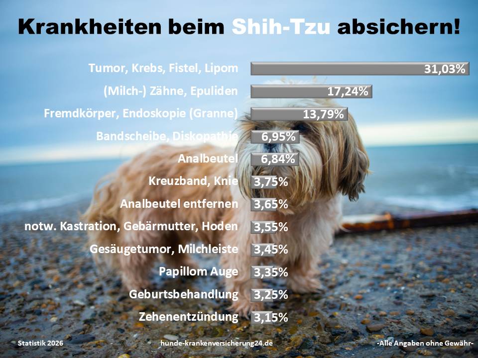 Hundekrankenversicherung für Shih Tzu Krankheiten und Tierarztkosten