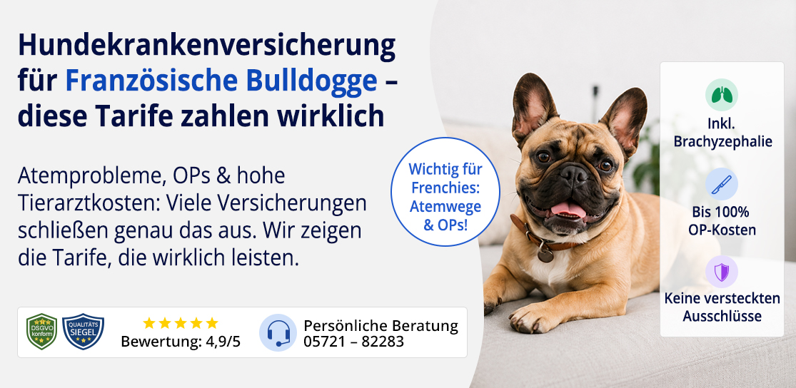 Hundekrankenversicherung für Französische Bulldogge