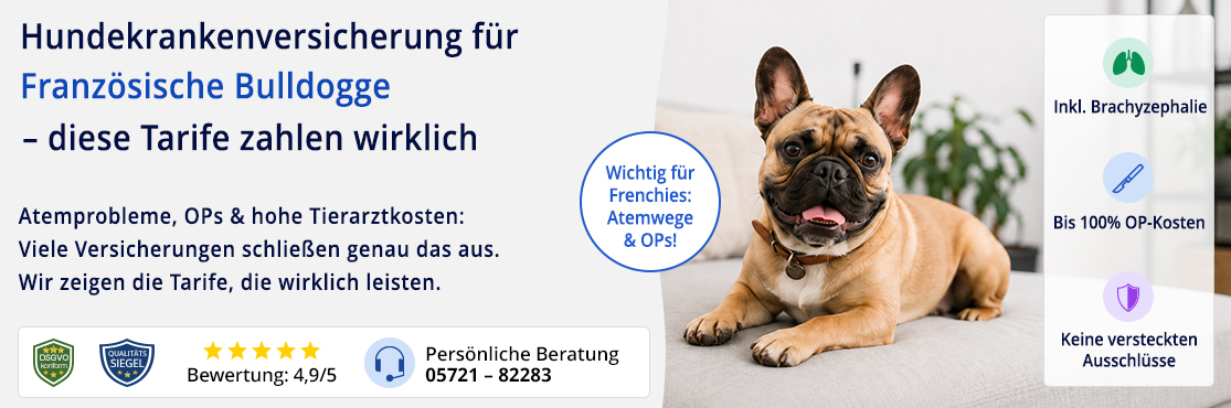 Hundekrankenversicherung für Französische Bulldogge