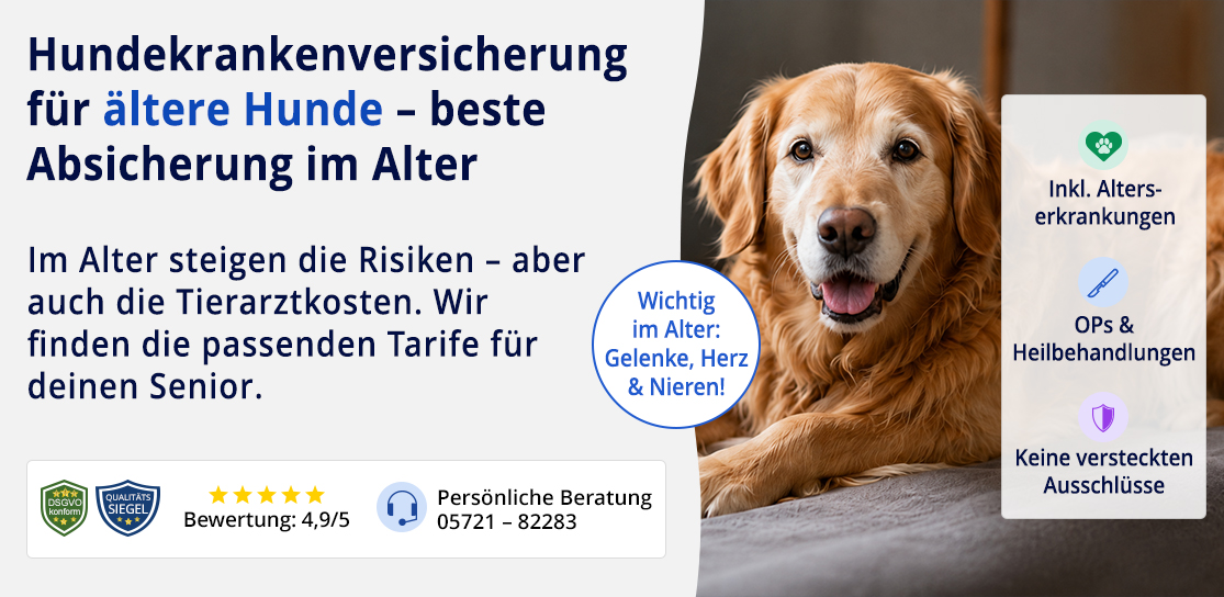 Hundekrankenversicherung für ältere Hunde