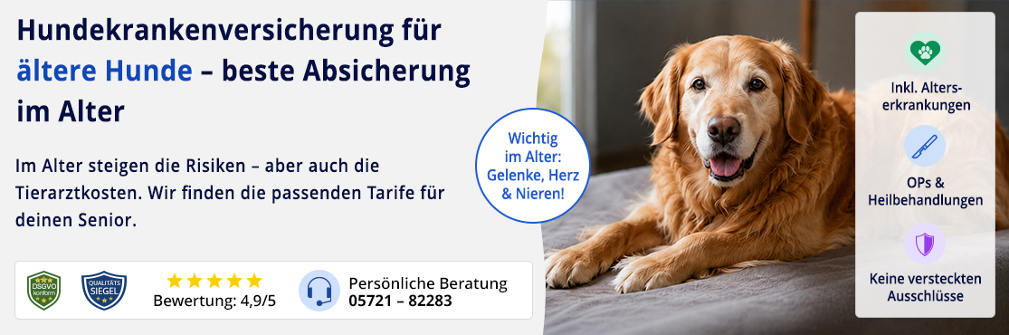 Hundekrankenversicherung für ältere Hunde