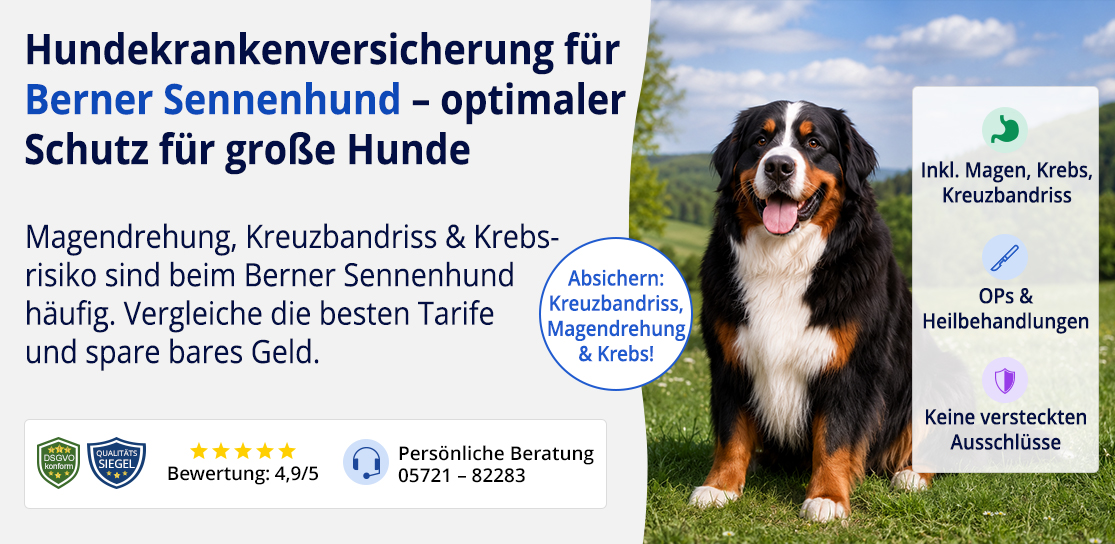 Hundekrankenversicherung für Berner Sennenhund