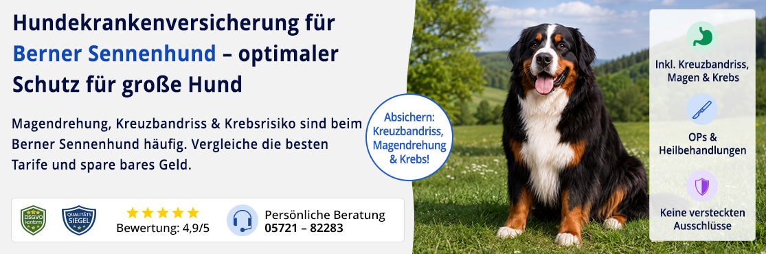 Hundekrankenversicherung für Berner Sennenhund