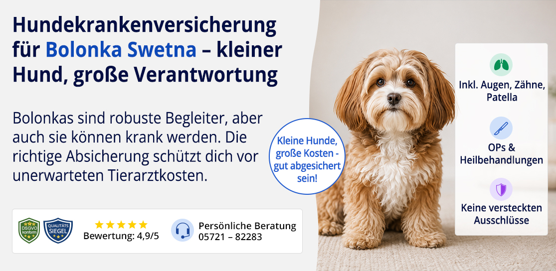 Hundekrankenversicherung für Bolonka Swetna