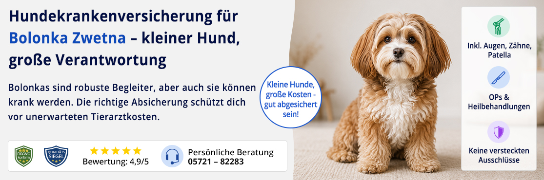 Hundekrankenversicherung für Bolonka Zwetna