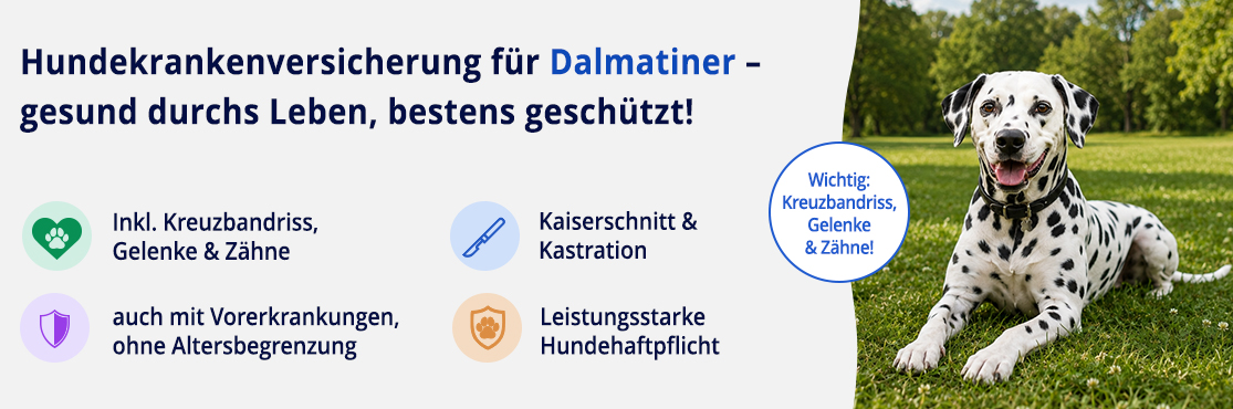 Hundekrankenversicherung für Dalmatiner