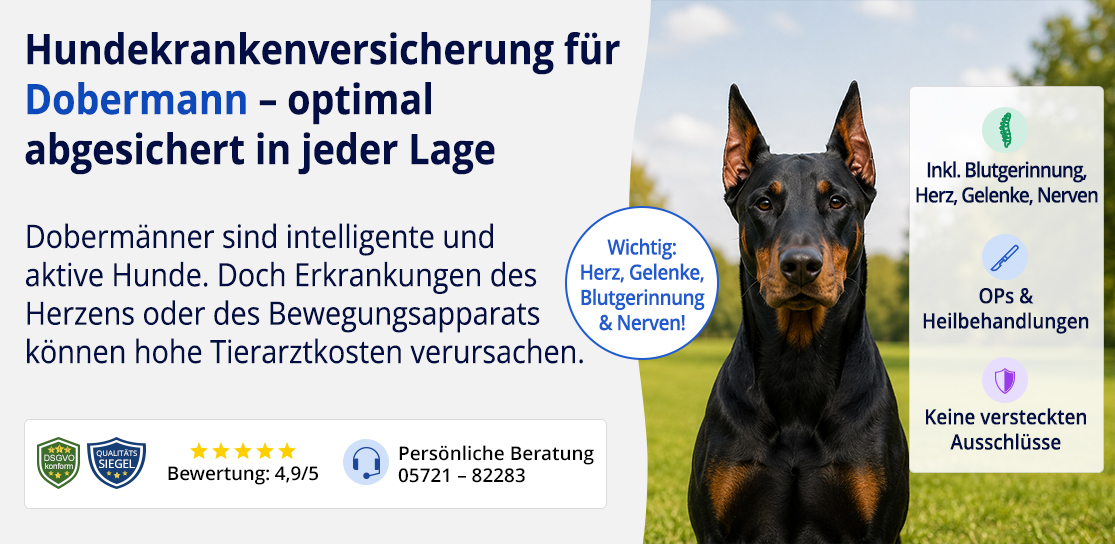 Hundekrankenversicherung für Dobermann