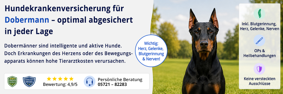 Hundekrankenversicherung für Dobermann