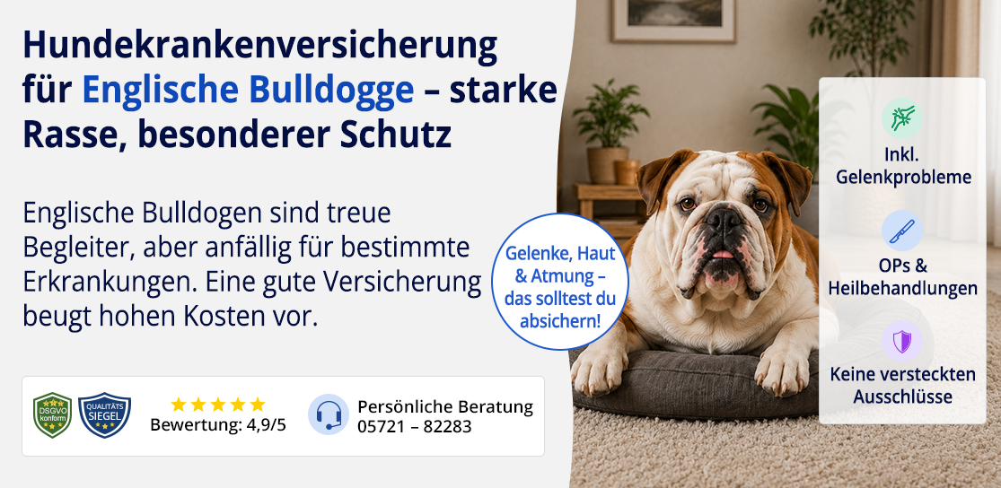 Hundekrankenversicherung für Englische Bulldogge
