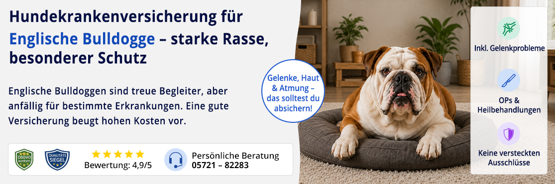 Hundekrankenversicherung für Englische Bulldogge