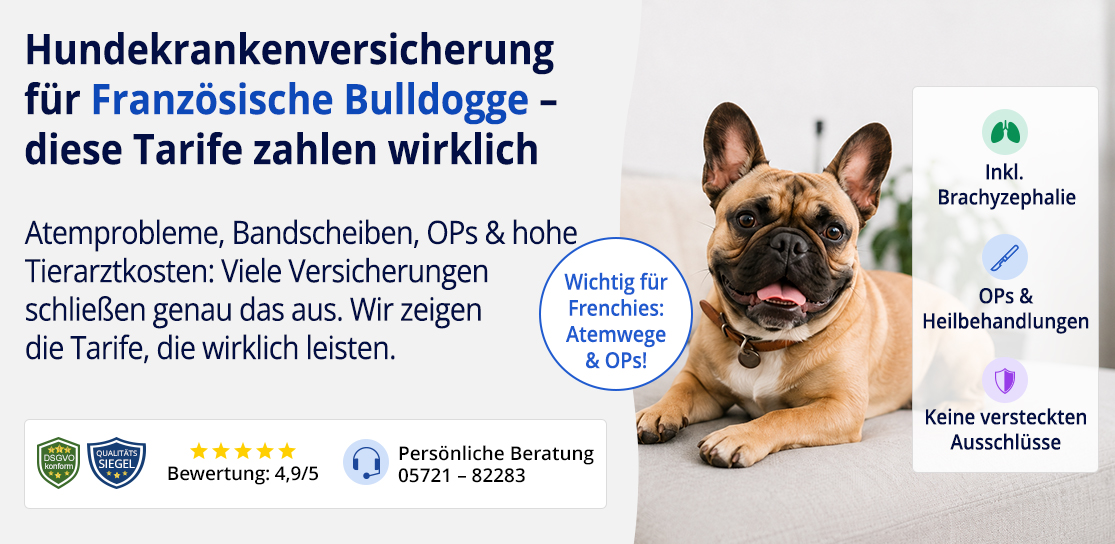 Hundekrankenversicherung für Französische Bulldogge