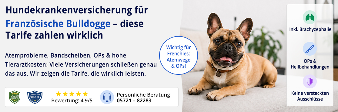 Hundekrankenversicherung für Französische Bulldogge