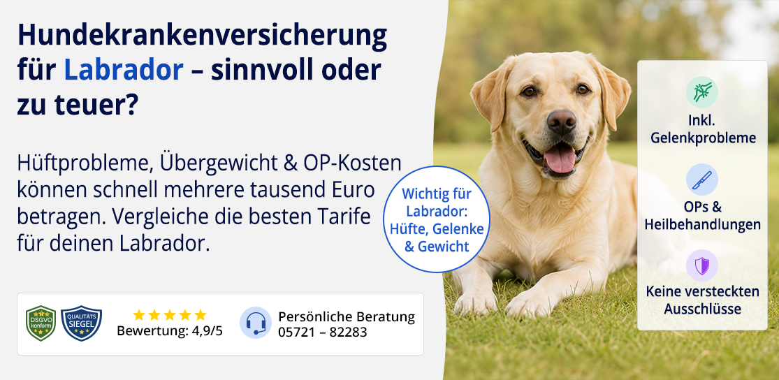 Hundekrankenversicherung für Labrador
