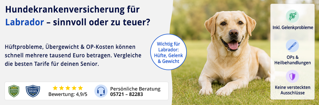 Hundekrankenversicherung für Labrador
