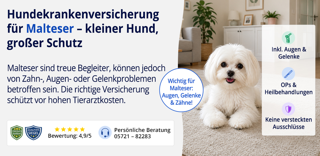 Hundekrankenversicherung für Malteser