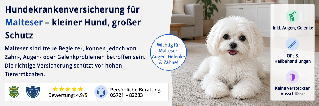 Hundekrankenversicherung für Malteser