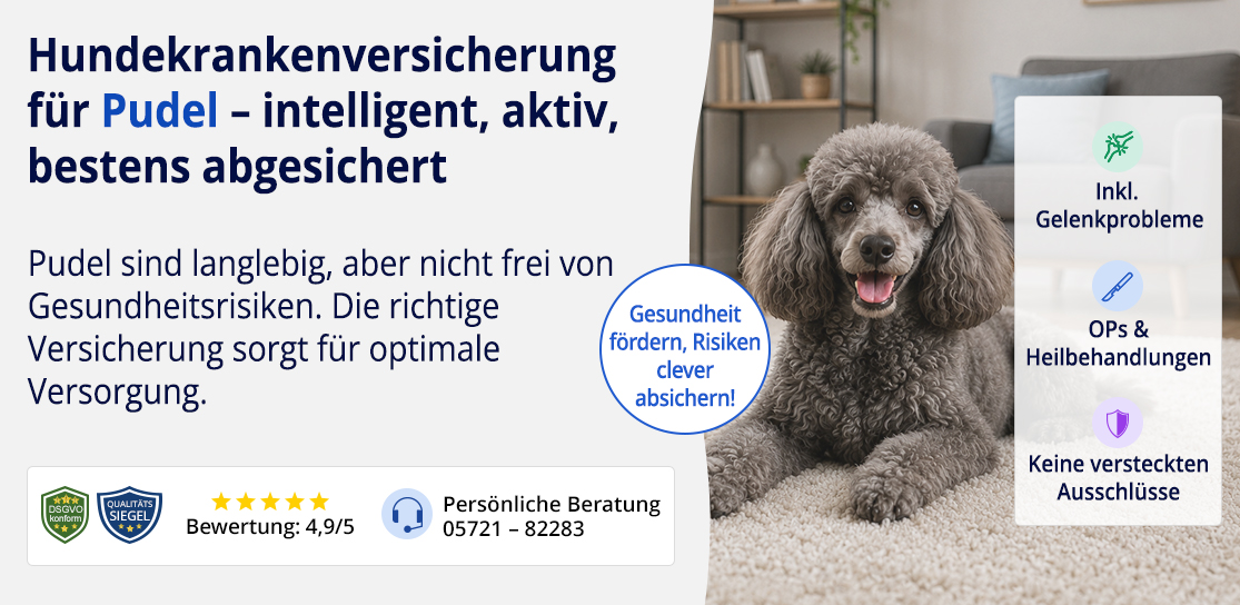 Hundekrankenversicherung für Pudel