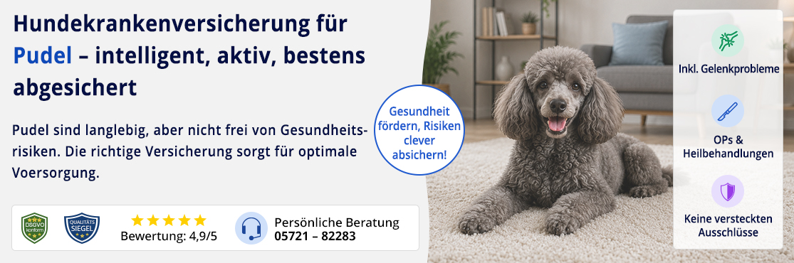 Hundekrankenversicherung für Pudel