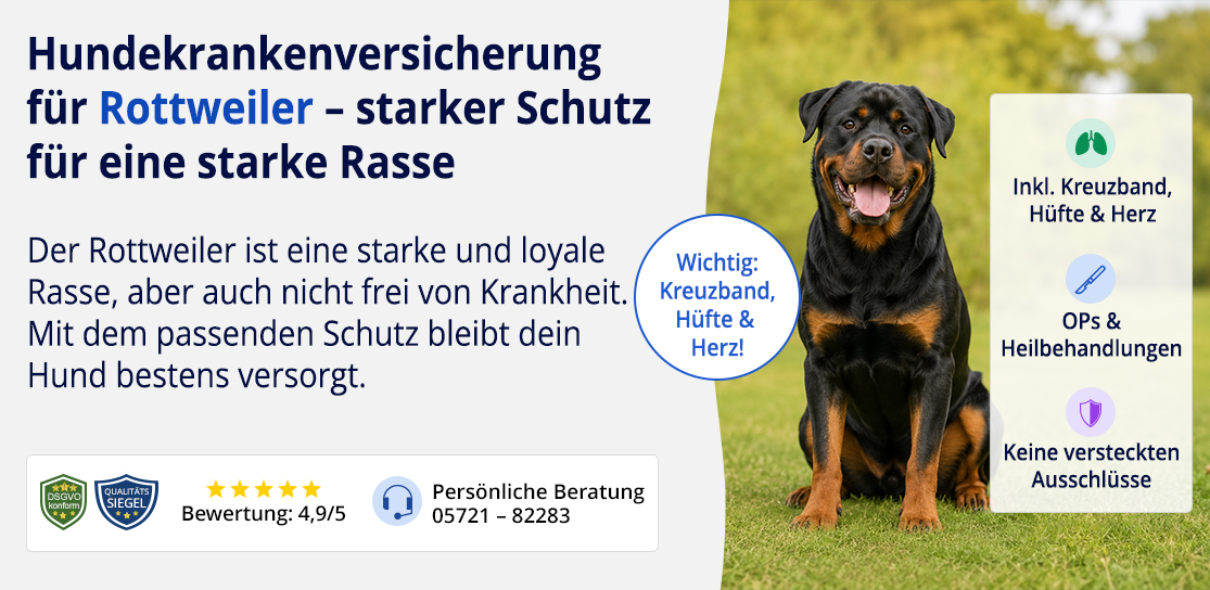 Hundekrankenversicherung für Rottweiler