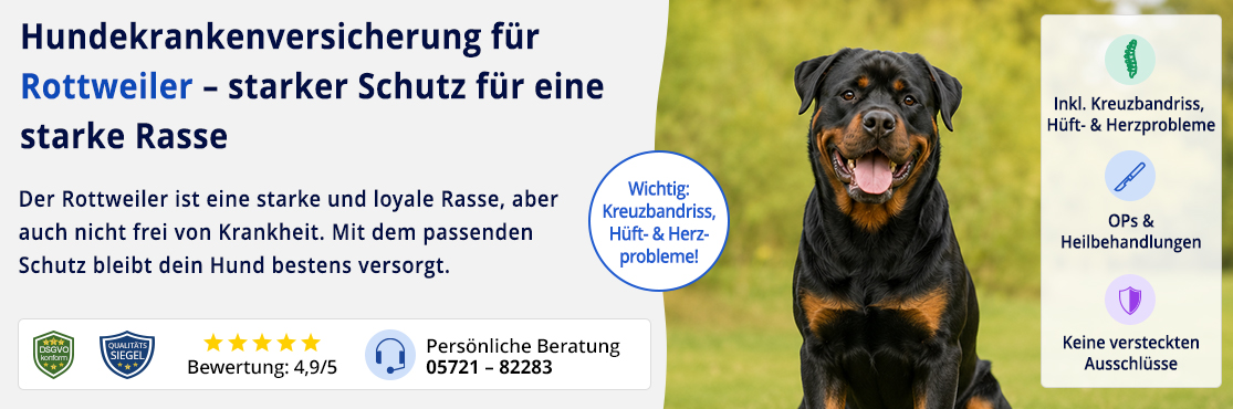 Hundekrankenversicherung für Rottweiler