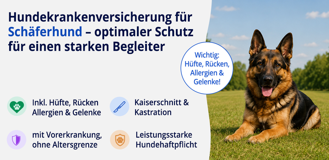 Hundekrankenversicherung für Schäferhund