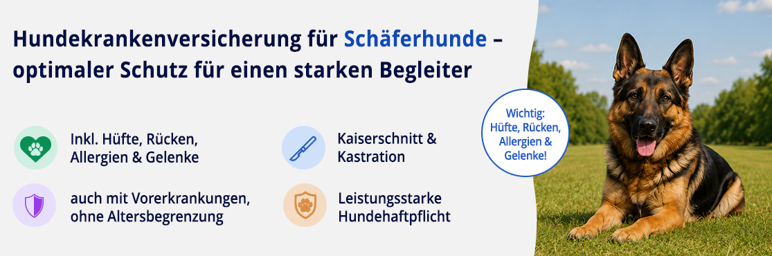 Hundekrankenversicherung für Schäferhund