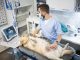 Hundekrankenversicherung für Züchter