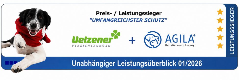 Hundekrankenversicherung Testsieger