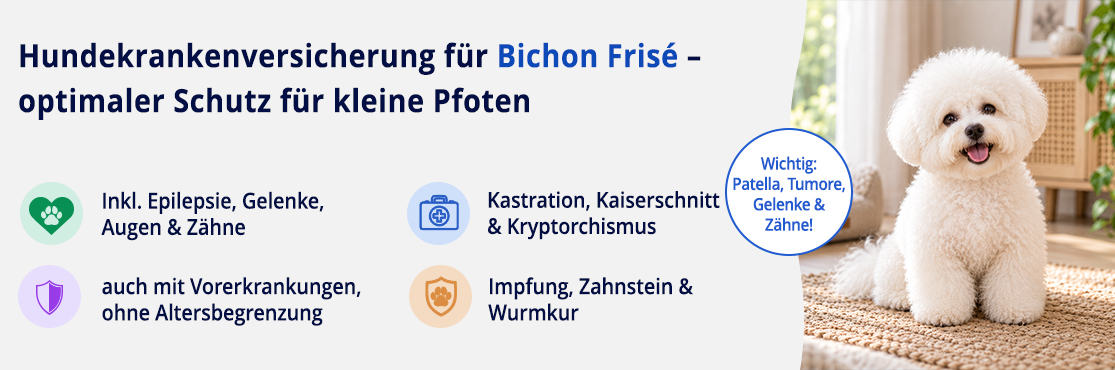 Hundekrankenversicherung für Bichon Frisé